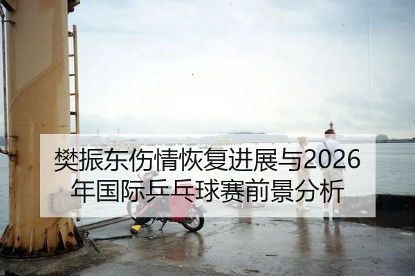 樊振东伤情恢复进展与2026年国际乒乓球赛前景分析