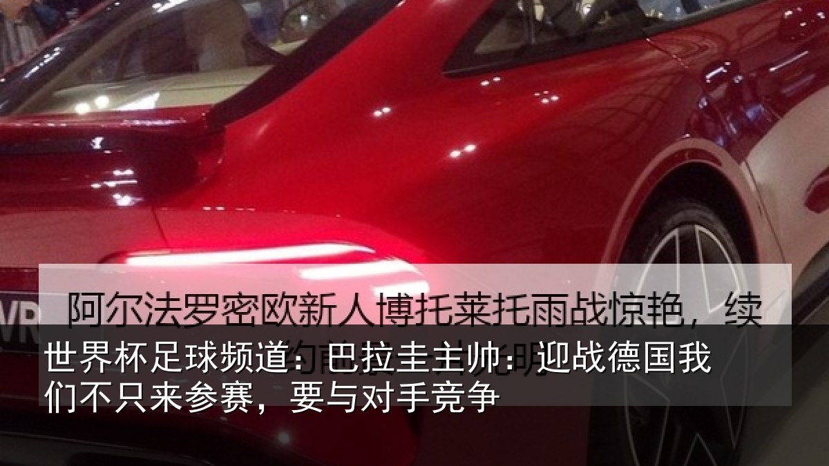 世界杯足球频道：巴拉圭主帅：迎战德国我们不只来参赛，要与对手竞争