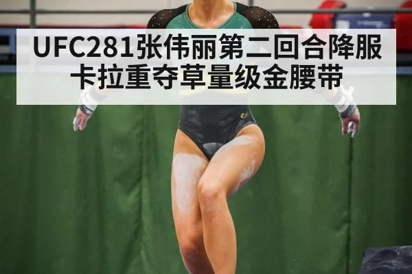 UFC281张伟丽第二回合降服卡拉重夺草量级金腰带